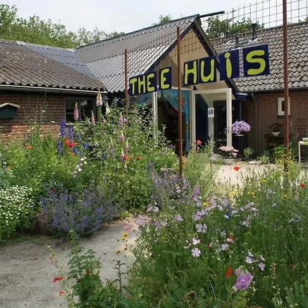 Theetuin Het Aardrijk Berlicum